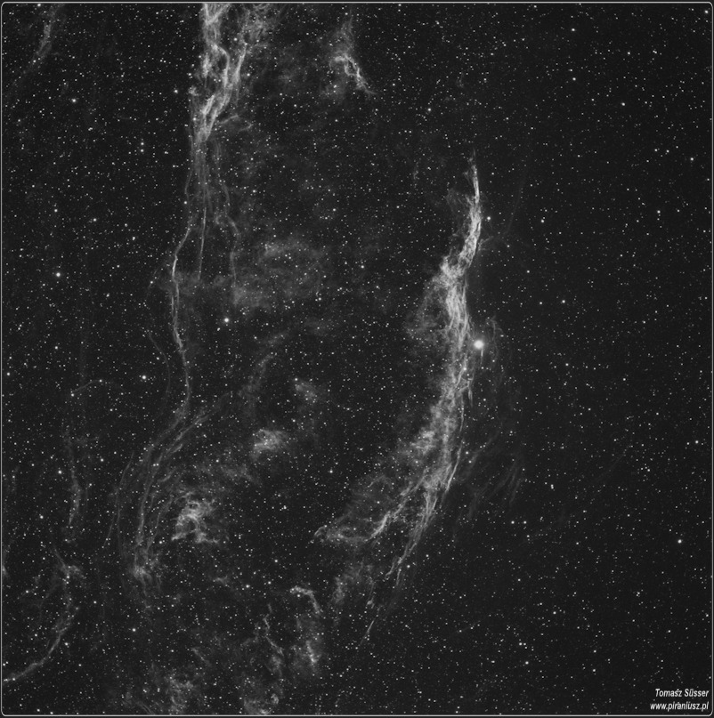 [Western Veil - NGC 6960]